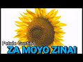 ZAMOYO ZINAYI - Petulo Gustino