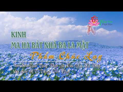 90. Phẩm Chúc Lụy Thứ Chín Mươi