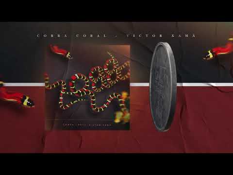 Video thumbnail for Cobra Coral