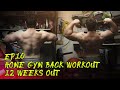 GARAGE GYM BACK WORKOUT DURING QUARANTINE | JOURNEY TO THE STAGE EP 10