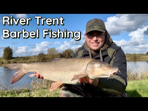 River Trent BARBEL FISHING - Split Session on the TIDAL and MIDDLE Trent..!