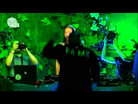 Tomorrowland 2013 - Steve Aoki