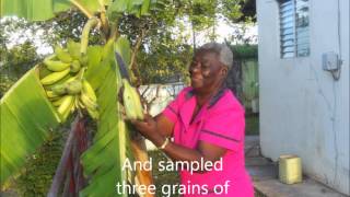 Home and Garden in the Caribbean