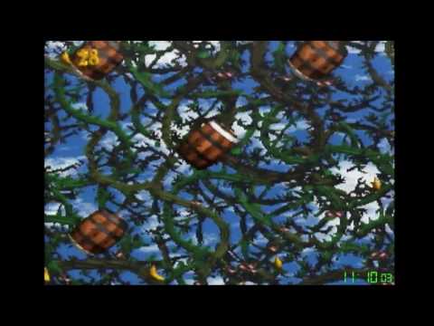 DKC2 Any% Speedrun in 41:01