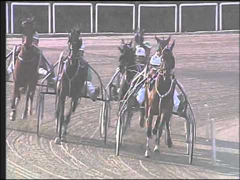 Trotto 19/03/2015 - 3° corsa