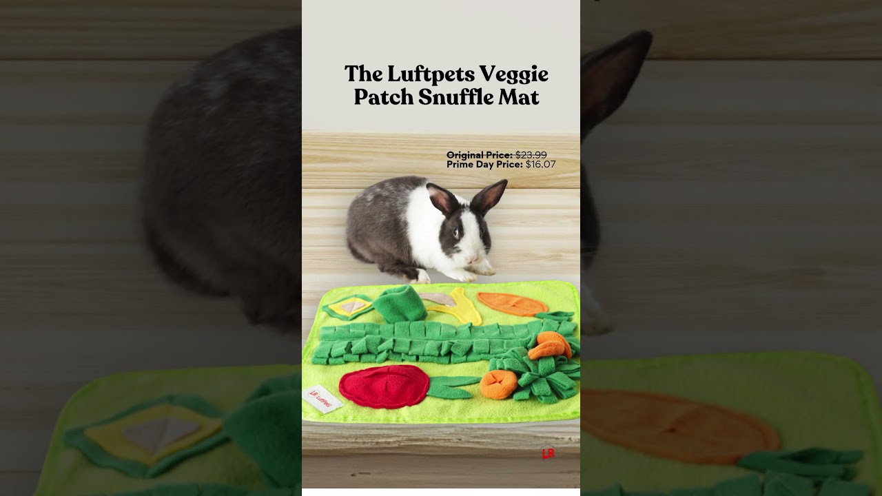 Prime Day Deals on LuftPets!