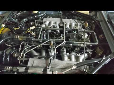 Jag XJ-S V12 HE - I think I found my problem - split vacuum hose on fuel pressure regulator!