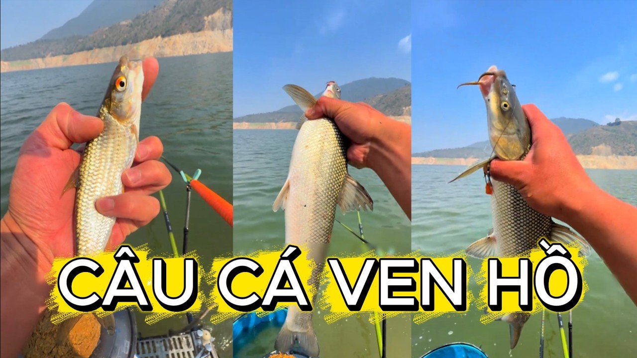 CÂU CÁ VEN HỒ