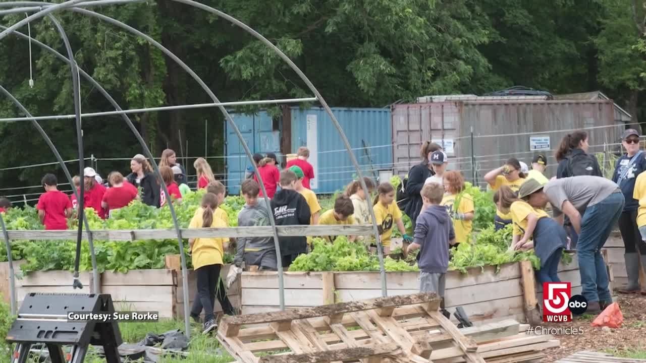 Once a farm town, Medway grows into an economic hub