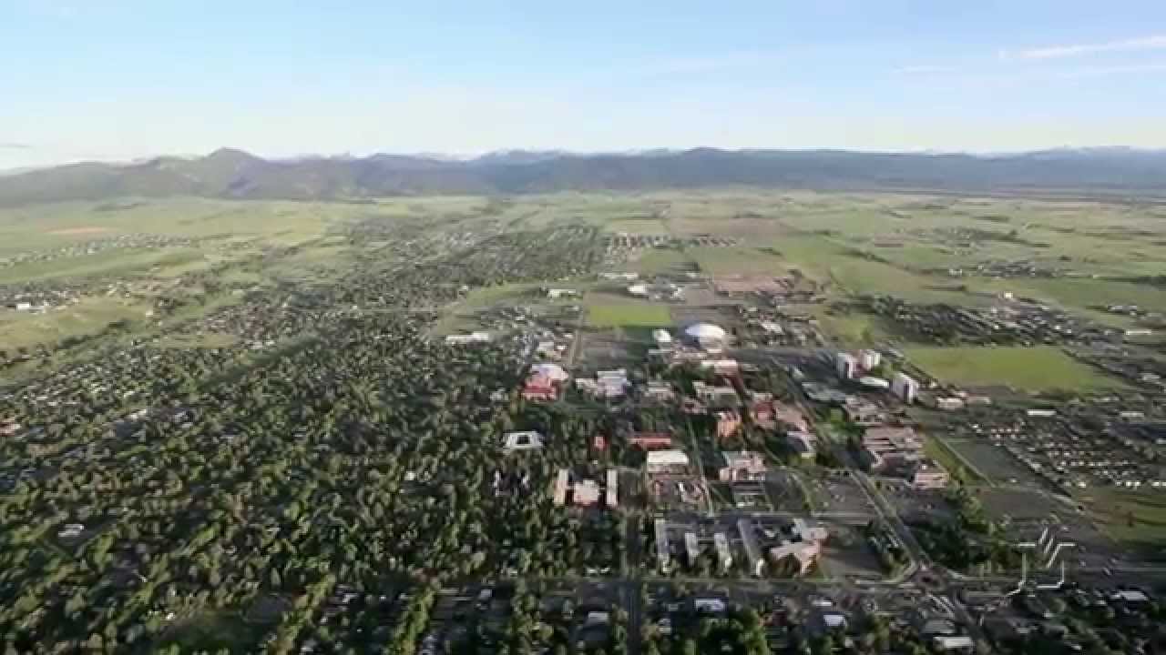 Big Ideas. Bold Adventures