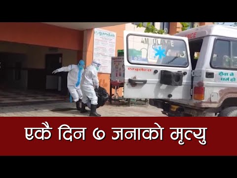 एकै दिन ७ जनाको मृत्यु पुष्टि, आजै थपिए ८५५ संक्रमित | Sagarmatha Report
