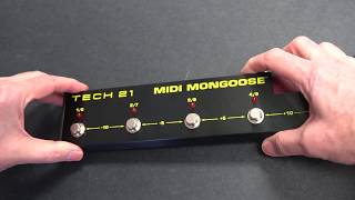 Video thumbnail for Tech 21 MIDI Mongoose  Battery Installation by Tech21nyc