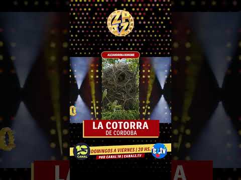 LA COTORRA DE CORDOBA