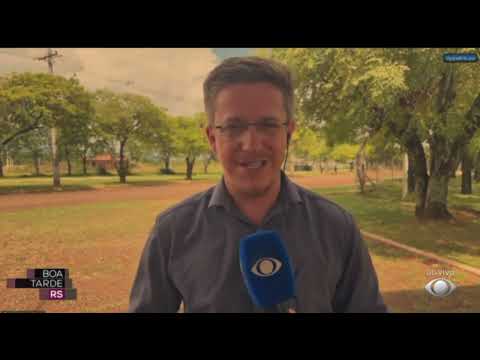 Na tela da Band: Homem é preso após matar cachorro a marteladas em Giruá