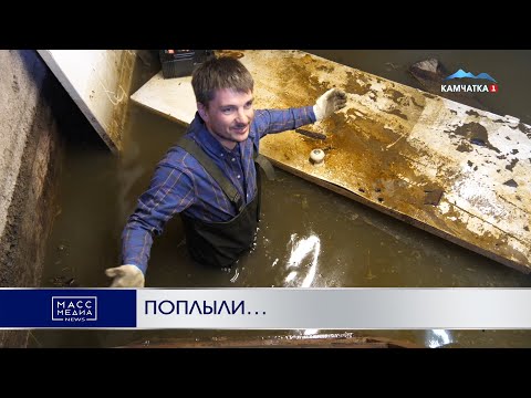 Поплыли... | Новости Камчатки | Происшествия | Масс Медиа