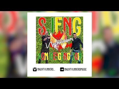 Frans Theunisz - Sjeng Aon De Geng (NACHTVLINDERS REMIX)