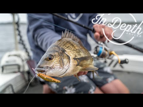 Vobler Daiwa Steez Double Clutch 4.8cm 2.7g Black Gold SP