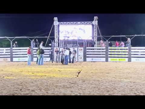 17 decimasetima festa do peão da cidade de dom bosco minas gerais abertura montaria em touros 