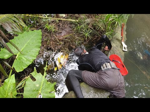 SE02EP097 - GAPANG sa ILALIM ng mga WATER LILIES | PAKIKIPAG BALTAKAN sa IGAT | San Pablo City, Lag