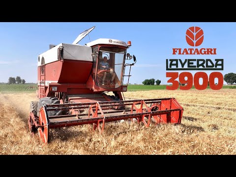**TOP** Fiatagri Laverda 3900 - E480 | Lamborghini Formula 115