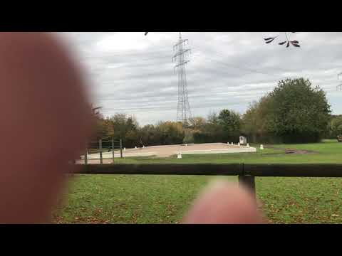 Riding and Driving Club Ludwigsburg e.V.  馬術