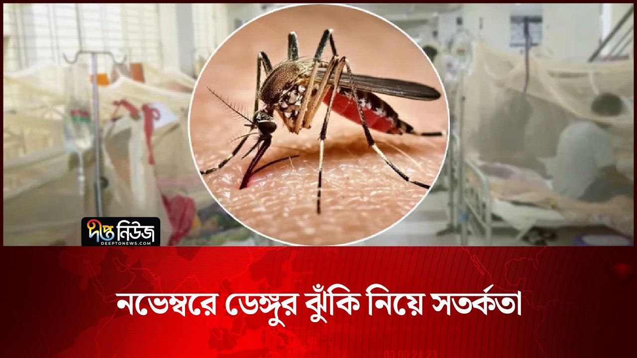 নভেম্বরে ডেঙ্গুর ঝুঁকি নিয়ে সতর্কতা l Dengue Risk l November l Alert l Public Health l Deepto News