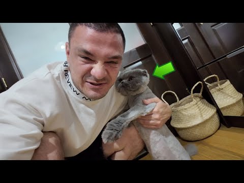 PISICA NOASTRA MA URASTE !!