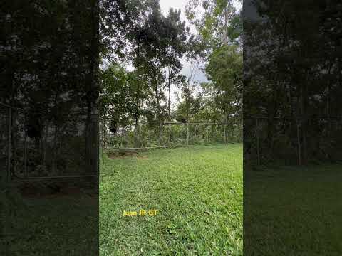 Campo de Futbol de comunidad El Baluarte, La Reforma, San Marcos.🇬🇹🇬🇹