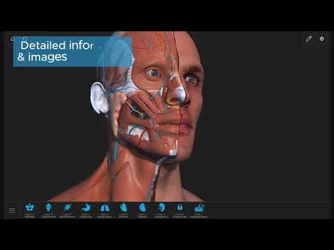 Visual Anatomy 3D - Human body Video