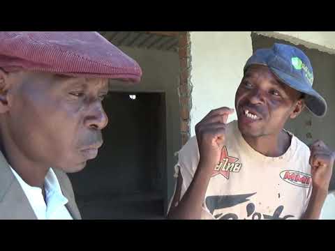 Aphiri anofurira marabha - kunokohwa chibage