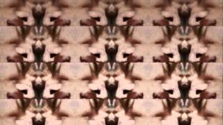 Enter The Dragon Vs Tycho - Adrift (Shigetos Adrift A Dream Remix)