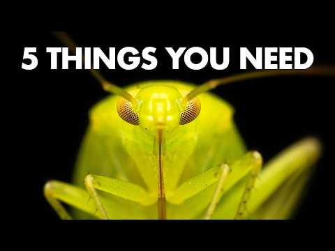 5 Things Macro Photography Beginners Need