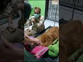 อาการ