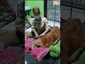 อาการ