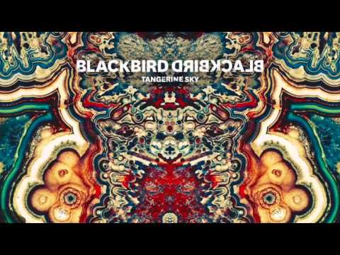 Blackbird Blackbird - Beasts