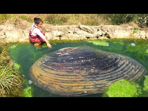 The clam is a treasure, filled with beautiful pearls