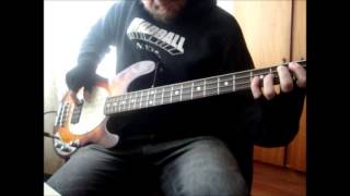 Red Hot Chili Peppers - How it Ends (bass cover)
