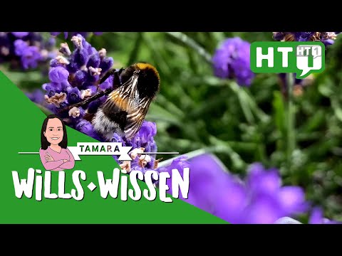 WEIBERN: Bodenbündnis in Österreich | Klimaschutz | Boden | Umwelt | Naturschutz