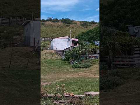 Cerro de Pastoreo , departamento de Tacuarembó , Uruguay , interior turbo/mega/ultra profundo 🇺🇾 .