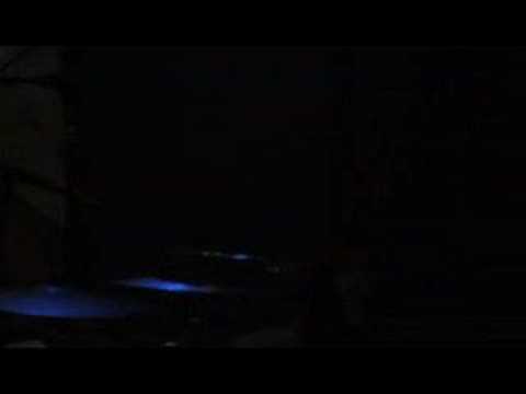 Perla Batalla - Bird on the Wire