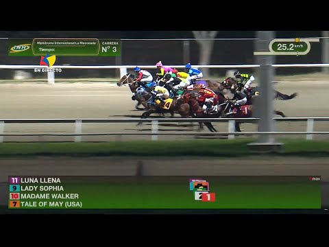 3ª. carrera | 1ª. válida | TALE OF MAY (USA) | Hipódromo La Rinconada | Reunión 03 | 2026