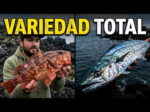 increibles CAPTURAS ,ROCK FISHING,(caldera atacama)
