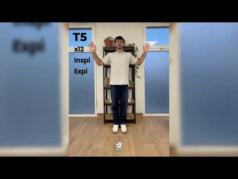 Exercice T5 — Mobilisation des omoplates