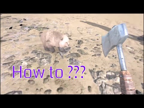 ARK - Direbear - How to Breed