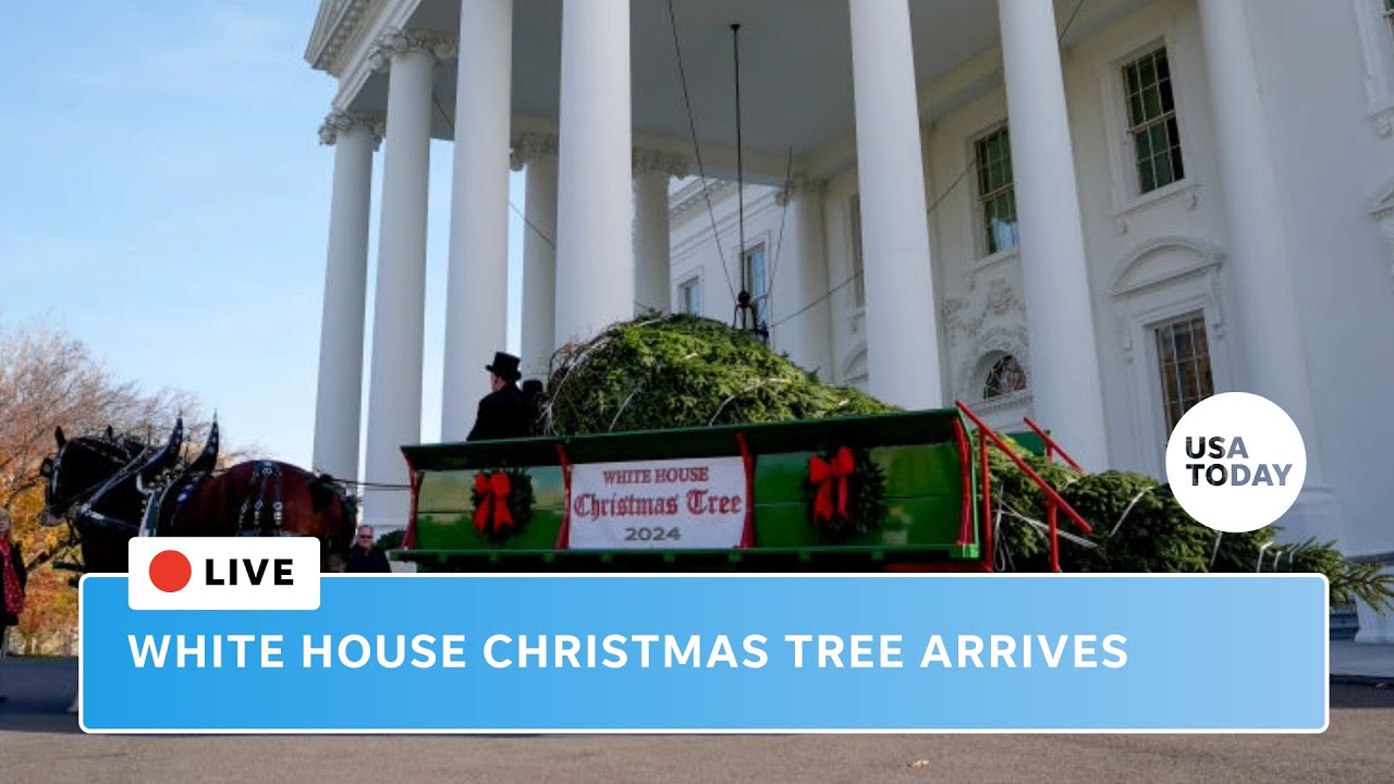 WATCH LIVE: White House Christmas tree arrives