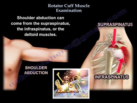Rotator Cuff Muscle Examination - Everything You Need To Know - Dr. Nabil Ebraheim - YouTube