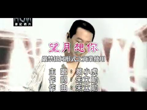 蔡小虎-望月想你(官方KTV版)
