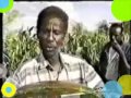 HEES MAAY MAAY TIYEEGLOW AL FANAAN TARASH Wmv Flv