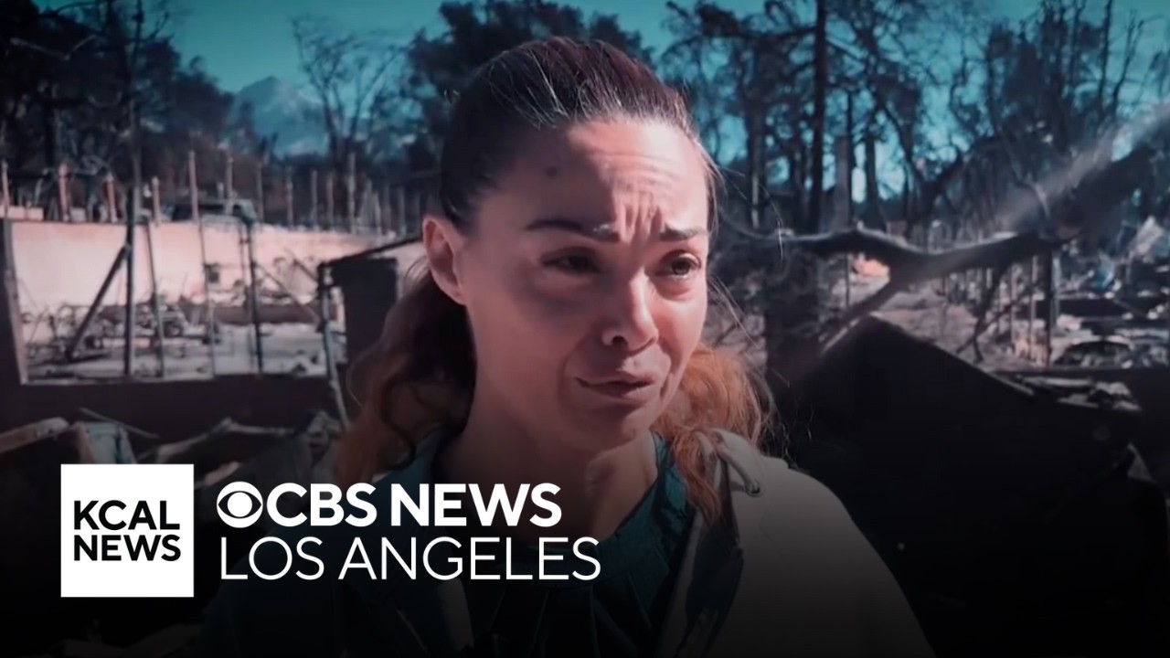 Los Angeles residents return to ruins after fires devour homes, businesses