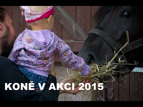 Koně v akci 2015